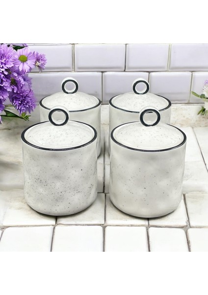 4 Lü Beyaz Porselen Mini Baharatlık Baharat Seti Vakumlu fiyatları