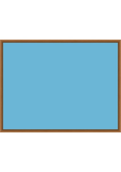Yapışlı Renkli Profesyonel Tahta ( Model -2) 100 cm x 150 cm 11
