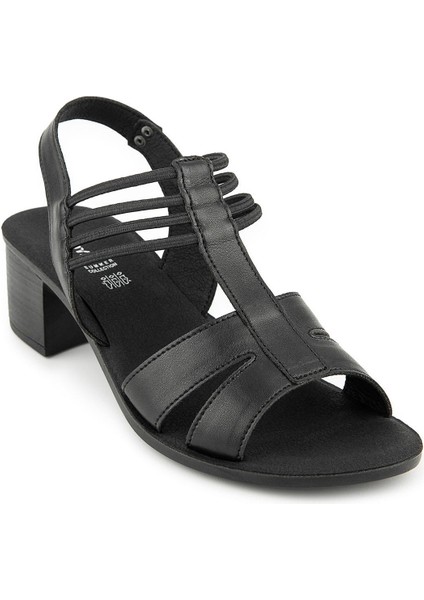 Laini Anatomik Taban Kadın Sandalet fiyatları