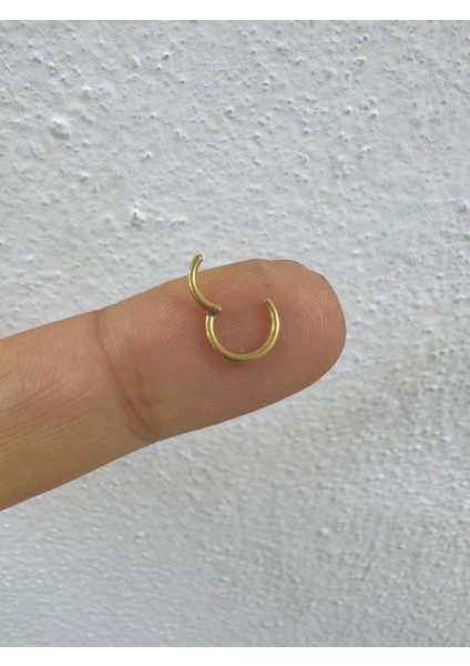 316L Çelik 1 mm Kalınlıkta İnce Düz Tragus Kıkırdak Burun Conch Rook Uyumlu Piercing Küpe 1 Adet 6 mm fırsatları