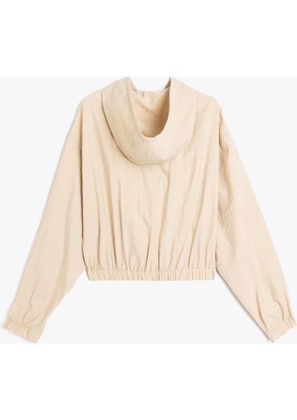 Karanlıkta Parlayan Paraşüt Kumaş Cepli Fermuarlı Kapüşonlu Bomber Rüzgarlık fırsatları