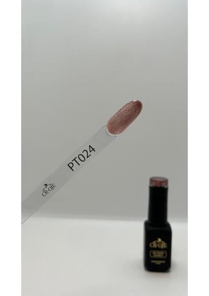 Kalıcı Oje Disco/Flash Cat Eye-PT024 (12 ML) modelleri