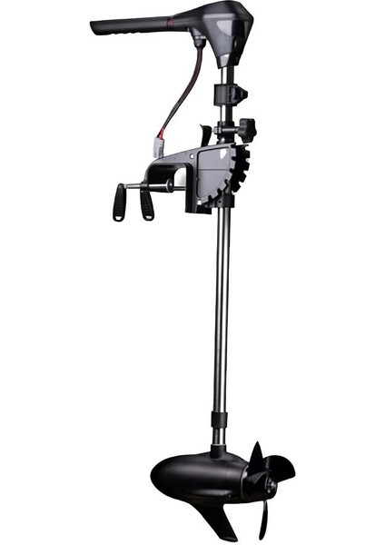 M200 100 Lbs 24V Fırçasız Elektrikli Motor