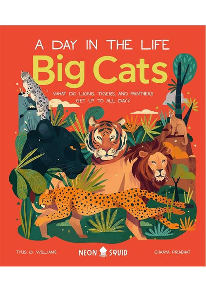 Big Cats A Day In The Life