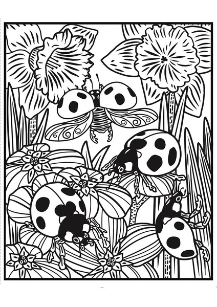Bugs Magic Painting Book