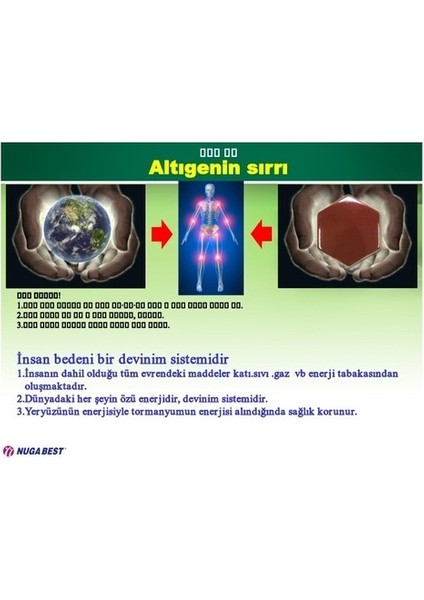 Miracle I Tormanyum Taşlı Kemer modelleri
