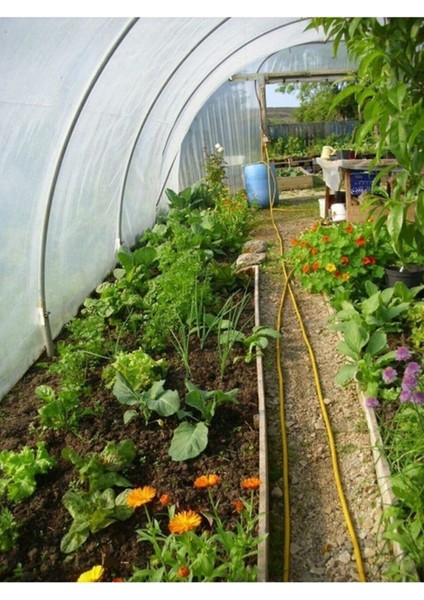 8X24 mt Kalın 24 Ay Sera Örtüsü Sera Naylonu 350 Micron Uv+Eva+Ld+Ab+Ir+Ao Katkılı modelleri