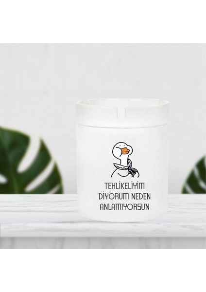 Tehlikeliyim Diyorum Neden Anlamıyorsun Küllük