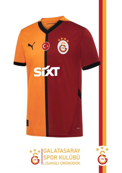 Orijinal Lisanslı 24/25 Parçalı Forma Aslan Baskılı Hediyelik Ahşap Kutulu fiyatları