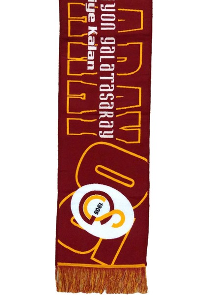 Lisanslı Akrilik Şampiyon Galatasaray Atkı Hediyelik Ahşap Kutulu