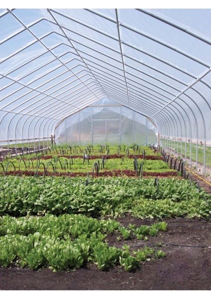 8X28 mt Kalın 36 Ay Sera Örtüsü Sera Naylonu 400 Micron Uv+Eva+Ld+Ab+Ir+Ao Katkılı fiyatları