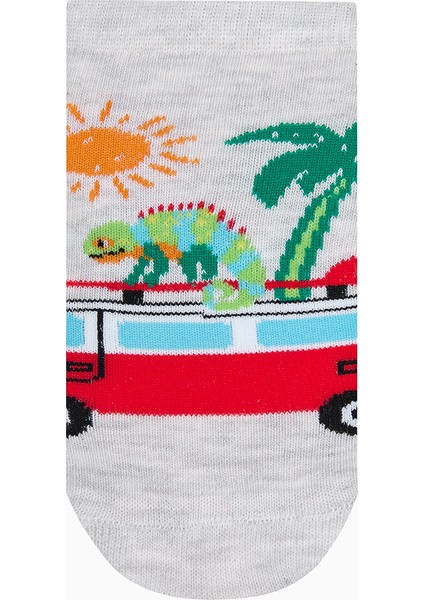 Erkek Çocuk Crocodile Çok Renkli 3lü Patik Çorap