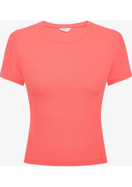Crew Neck Basic Tişört