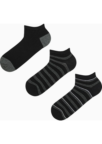Erkek Stripe 3lü Çok Renkli Patik Çorap