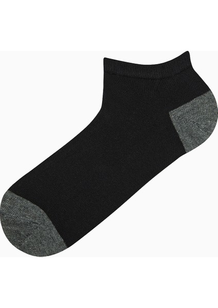 Erkek Stripe 3lü Çok Renkli Patik Çorap