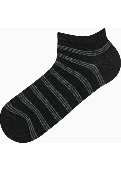 Erkek Stripe 3lü Çok Renkli Patik Çorap