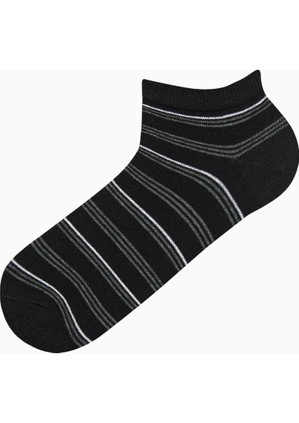 Erkek Stripe 3lü Çok Renkli Patik Çorap