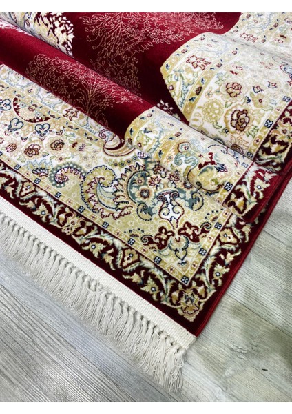 Kaşmiran , Osmalı Melodi Ipeksi Yün Tuşeli Triko Akrilik Saraylı Oturma Odası ve Salon Halısı