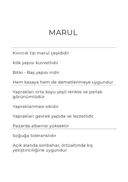 Marul Tohumu 25 gr modelleri