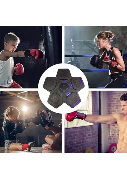 Mdhl Qjb-22 Boks Makinesi + Eldiven