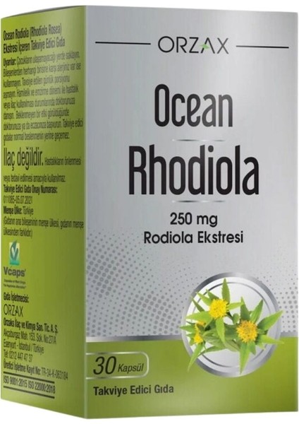 Rhodiola Kapsül 250MG 30 Kapsül