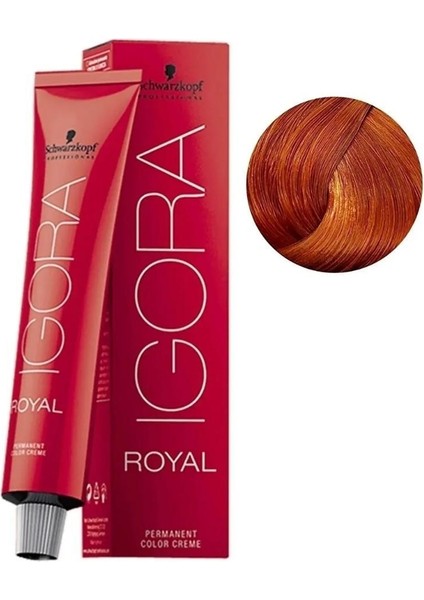 Igora Royal 8-77 Açık Kumral Yoğun Bakır 60ML