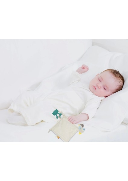 Diş Kaşıyıcılı Uykucu Birdy 858 Mavi