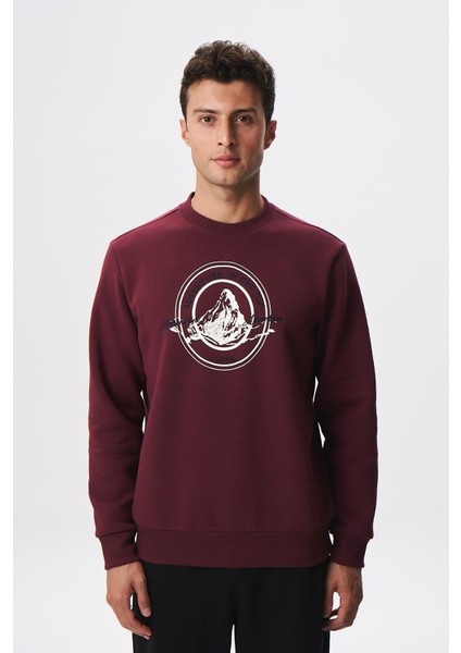 Baskılı Yazılı Regular Fit Şardonlu Erkek Bisiklet Yaka Sweatshirt K28124602901