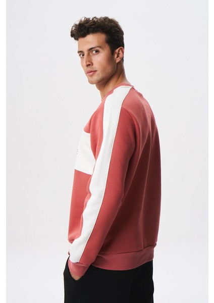Erkek Regular Fit Yazılı Şardonlu 3 İplik Bisiklet Yaka Sweatshirt K28124602601