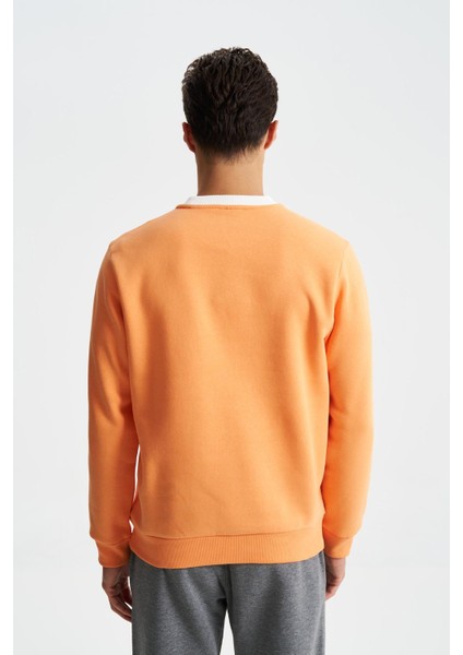 Erkek Regular Fit Çok Renkli Bisiklet Yaka Sweatshirt K28124602801 indirimleri