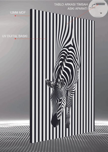 Zebra Illüstratör Mdf Tablo