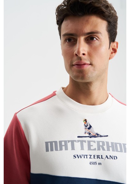 Erkek Regular Fit Çok Renkli Bisiklet Yaka Sweatshirt K28124602801