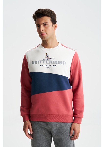Erkek Regular Fit Çok Renkli Bisiklet Yaka Sweatshirt K28124602801