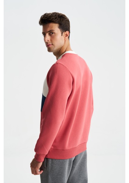 Erkek Regular Fit Çok Renkli Bisiklet Yaka Sweatshirt K28124602801