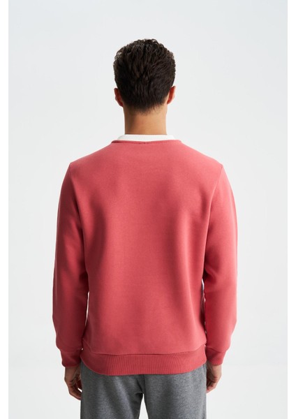 Erkek Regular Fit Çok Renkli Bisiklet Yaka Sweatshirt K28124602801