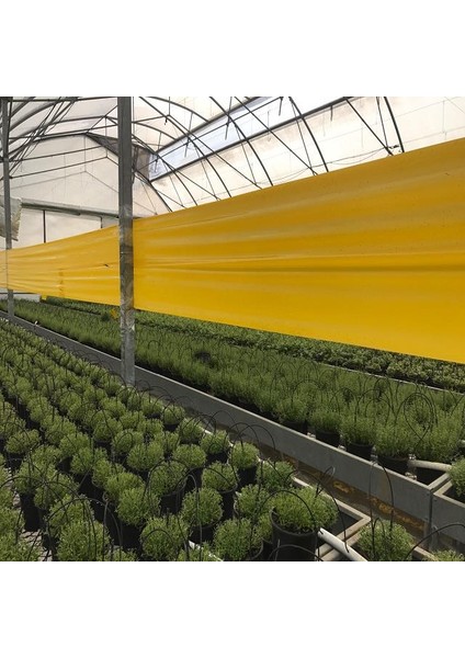 Roll Trap Sarı Rulo Yapışkanlı Si̇nek Tuzağı 15 cm x 50 M modelleri