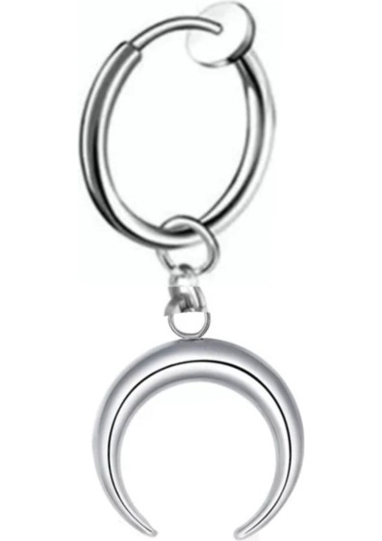 Deliksiz Sıkıştırma Hilal Sallantılı Çelik Küpe fiyatları