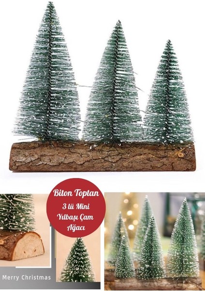 3 Lü Set Nevada Mini Çam Ağaçları Meşe Kütük Üzerinde yılbaşı Hediyesi 16-12-10 cm
