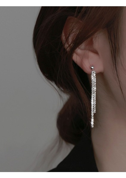 Abiye Taşlı Su Yolu İki Sıra Şerit Küpe