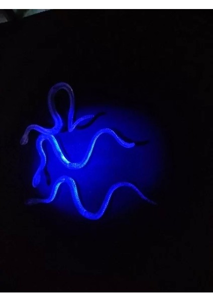 Şaka Yılan ve Kırkayak Karışık 36 Adet indirimleri