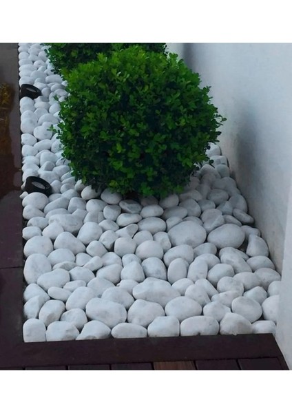 Taş Tamburlanmış 2-4cm. Dolomit Dekoratif Taş Beyaz Park, Bahçe Peyzaj ve Saksı Diplerine Akvaryumda indirimleri