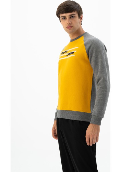 Erkek Bisiklet Yaka Sweatshirt K24124908701 fırsatları