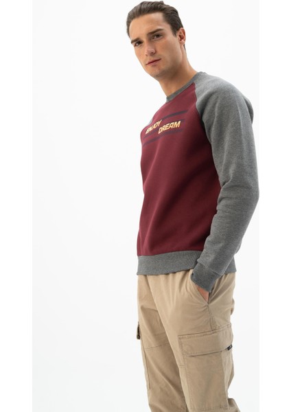 Erkek Bisiklet Yaka Sweatshirt K24124908701 fırsatları