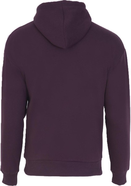 Erkek Regular Fit Kapüşonlu Sweatshirt K22254919201