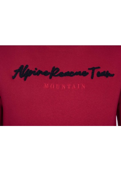 Erkek Bisiklet Yaka Sweatshirt K21124908002 fiyatları