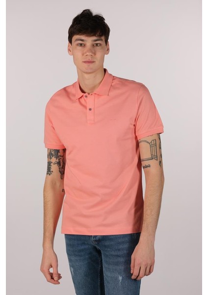 Erkek Büyük Beden Polo Yaka Tişört Y22374869601 fırsatları