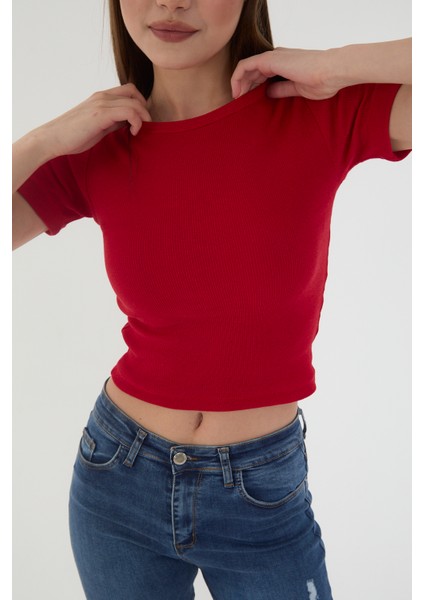 Kadın 3 Lü Kısa Kollu Fitilli Bisiklet Yaka Pamuklu Örme Kaşkorse Crop T-Shirt fiyatları