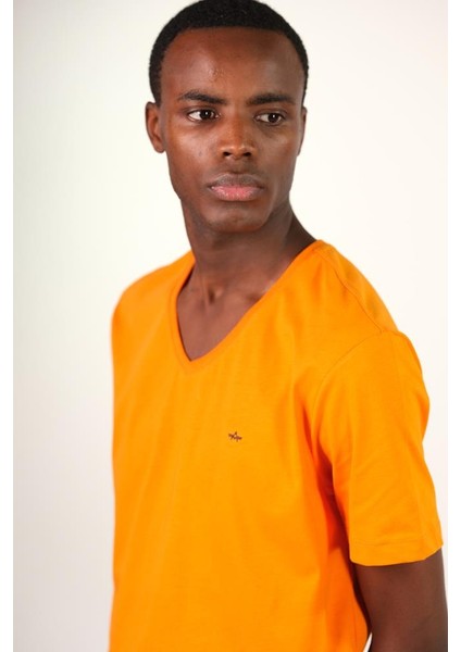 Erkek V Yaka Tişört Y22364400101 fırsatları