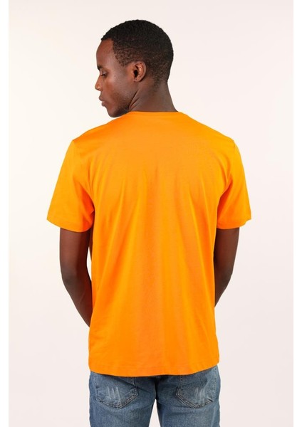 Erkek V Yaka Tişört Y22364400101 indirimleri