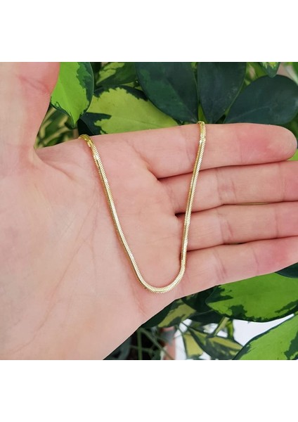 Balık Sırtı 14K Altın Italyan Ezmesi Kolye 55 cm 2.5 mm